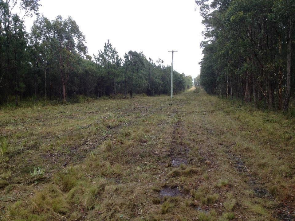 NSW Strategic Firebreak created by Coastwide Contracting serving Newcastle, The Hunter, Port Stephens, Mid-North Coast NSW. Forestry Mulching, boundary clearing and firebreaks, land clearing services and contractors.