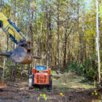 Forestry mulching by Coastwide Contractors, Newcastle, Port Stephens, Mid North Coast, Hunter Valley. Heavy machinery clearing and mulching forest. Vegetation management company. Vegetation management and forestry mulching contractors.