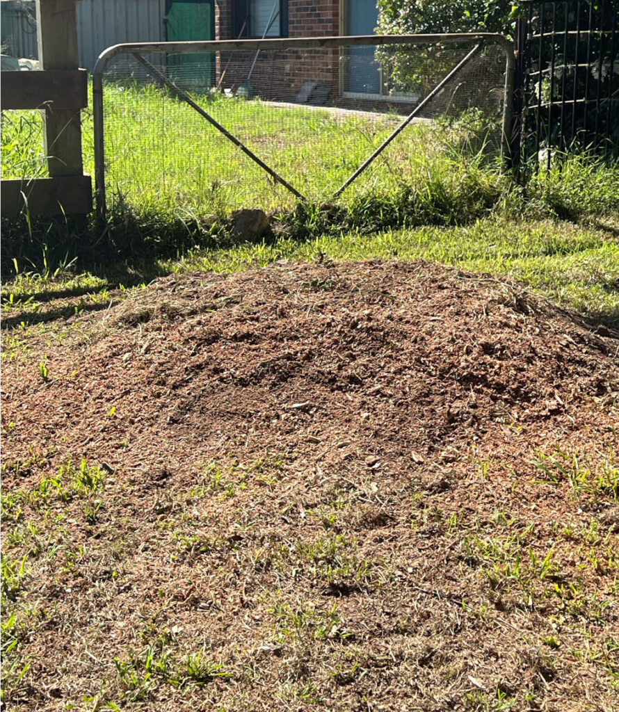 After tree stump removed. Coastwide Contracting Tree Stump Removal and Tree Stumo Grinding Services in Newcastle, Port Stephens, Mid North Coast, Maitland and The Hunter Valley.