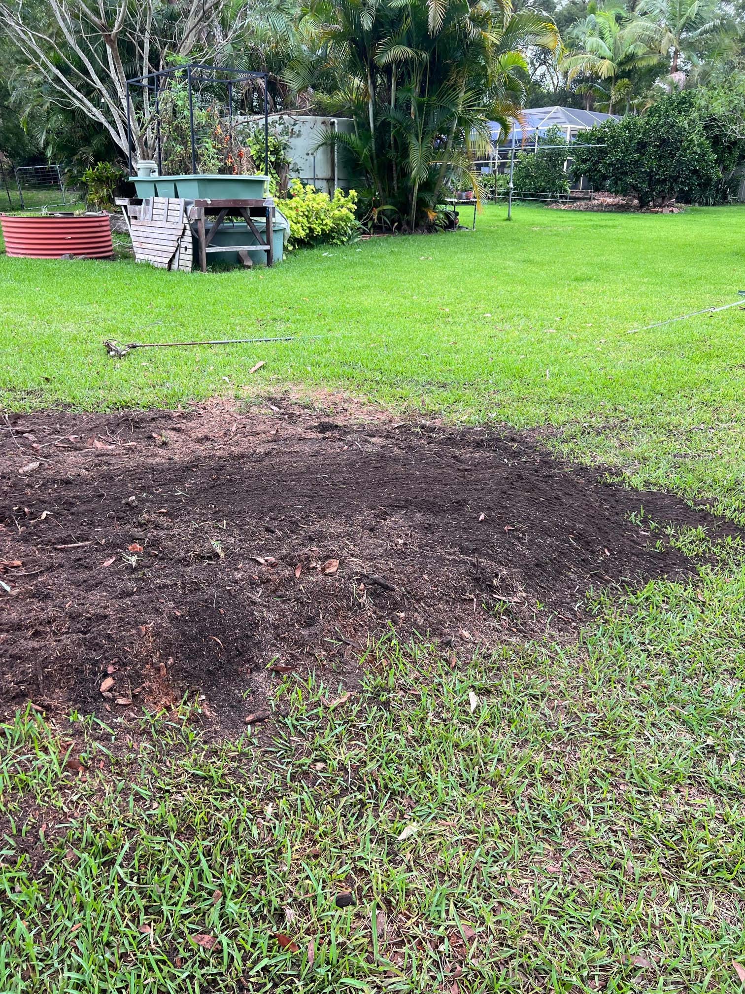 Stump Grinding Services by Coastwide Contracting, Newcastle, Hunter Valley, Port Stephens, Mid North Coast. Tree Stump Removal. Cleared Tree Stump in Garden. Affordable tree stump removal. Commercial and residential stump grinding and removal.