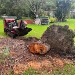 Stump grinder grinding tree stump. Coastwide Contracting Tree Stump Removal and Tree Stumo Grinding Services in Newcastle, Port Stephens, Mid North Coast, Maitland and The Hunter Valley.