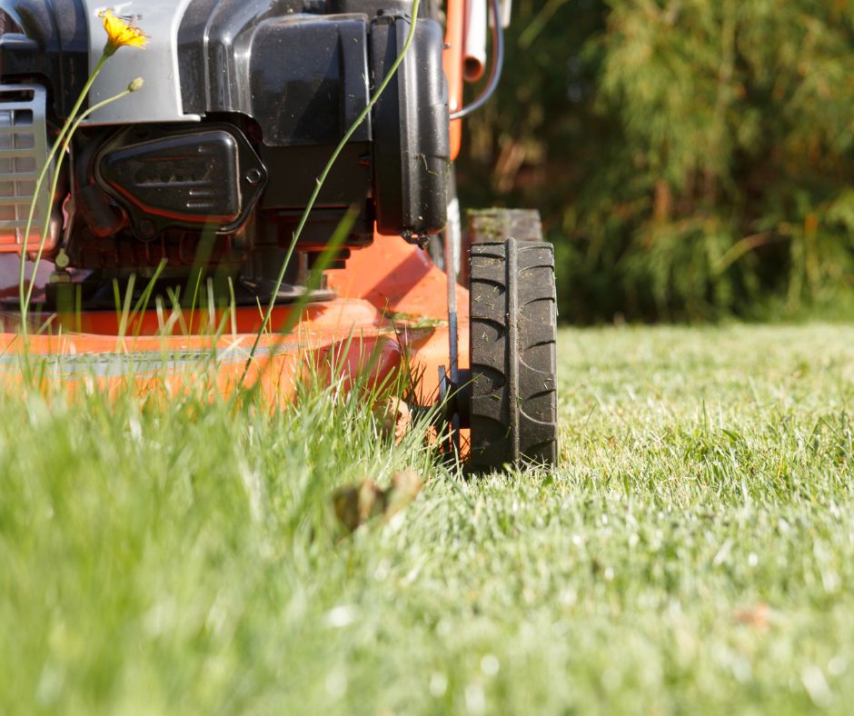 Orange lawn mower cutting grass. Coastwide Contracting Tree Stump Removal and Tree Stumo Grinding Services in Newcastle, Port Stephens, Mid North Coast, Maitland and The Hunter Valley.