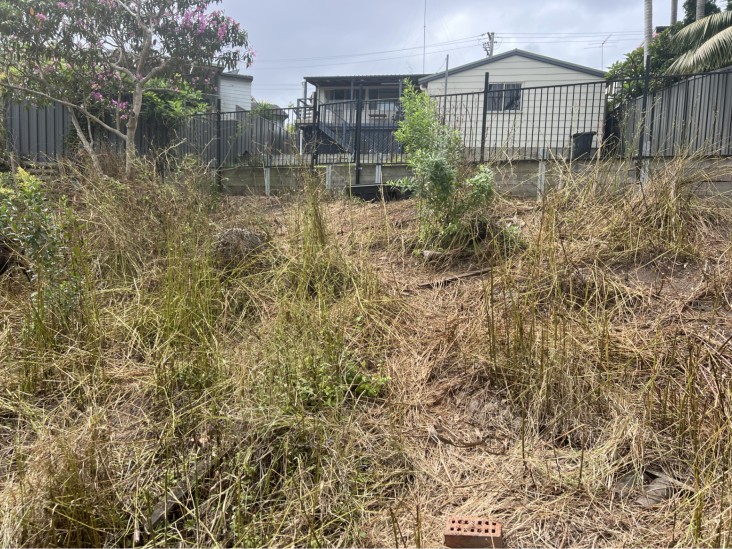 Goat hire and goat rental. Goats will leave vegetation that is not good for him and many ornamental plants such as rose bushes. Coastwide Contracting Goat hire and goat rental in Newcastle, Port Stephens and The Hunter.